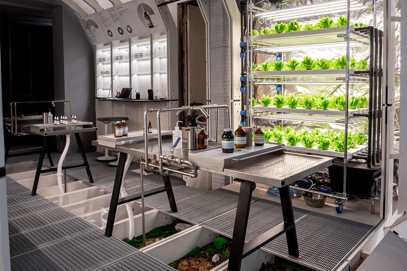 Haeckels Is Taking Its Message and Methods Worldwide