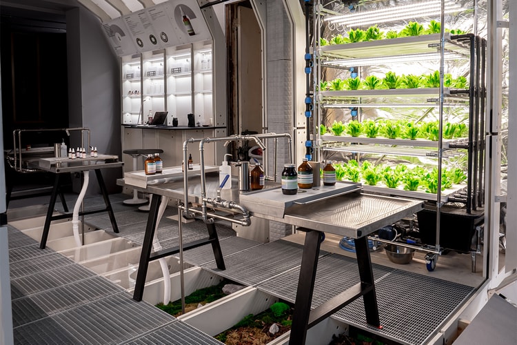 Haeckels Is Taking Its Message and Methods Worldwide