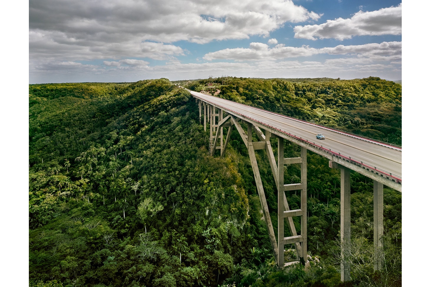 Through The Lens: Andrew Moore