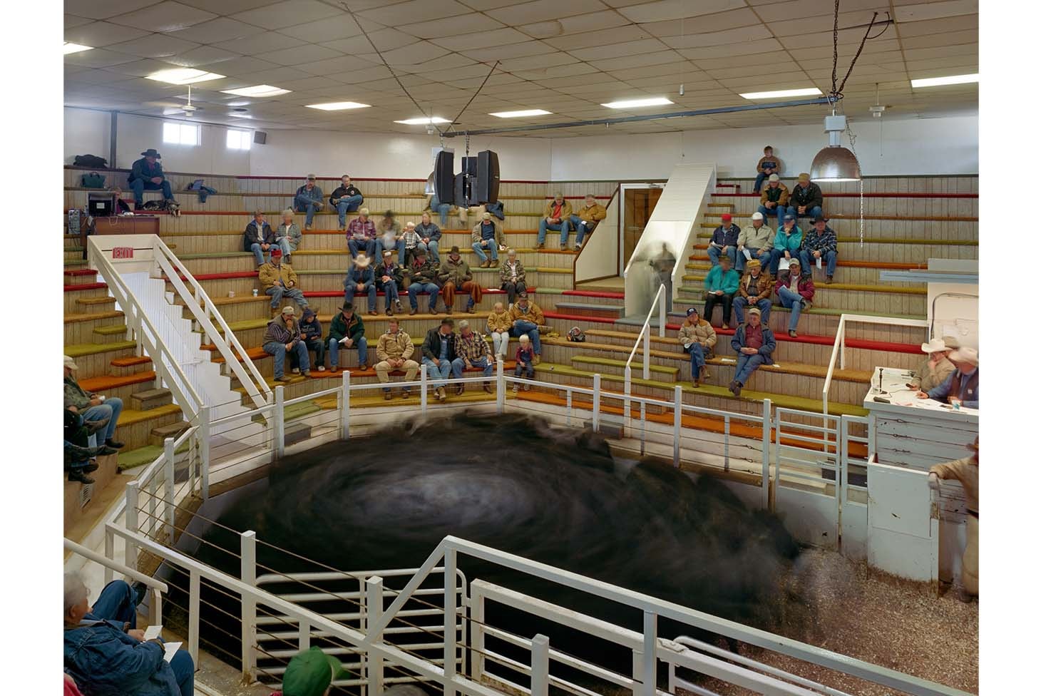 Through The Lens: Andrew Moore