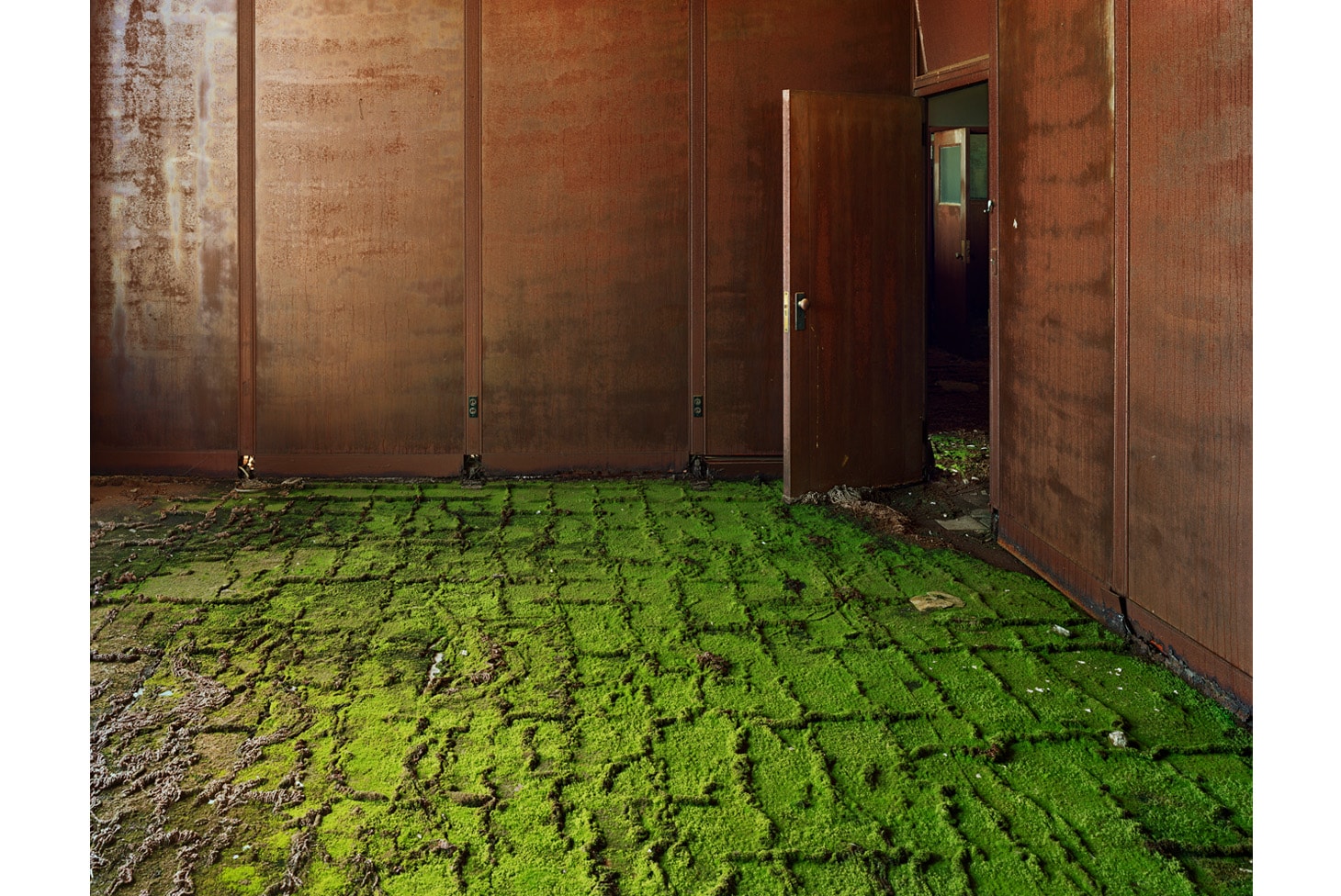 Through The Lens: Andrew Moore