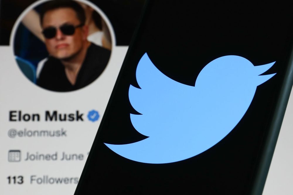 Twitter CEO Parag Agrawal Elon Musk Deal on Hold response