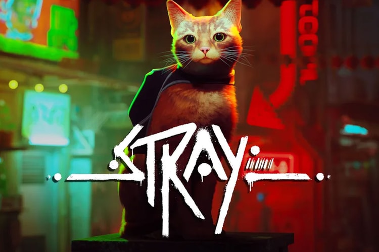 'STRAY' Announces a Launch Date With New Gameplay Trailer
