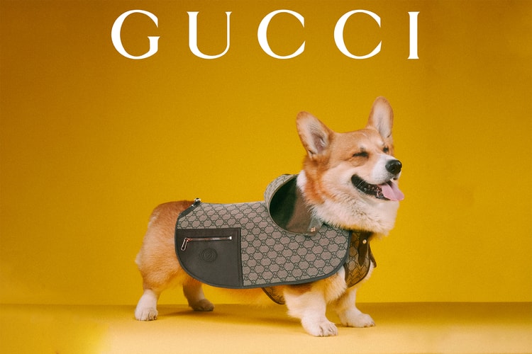 Treat Your Pets Like Royalty With Gucci's New Pet Collection