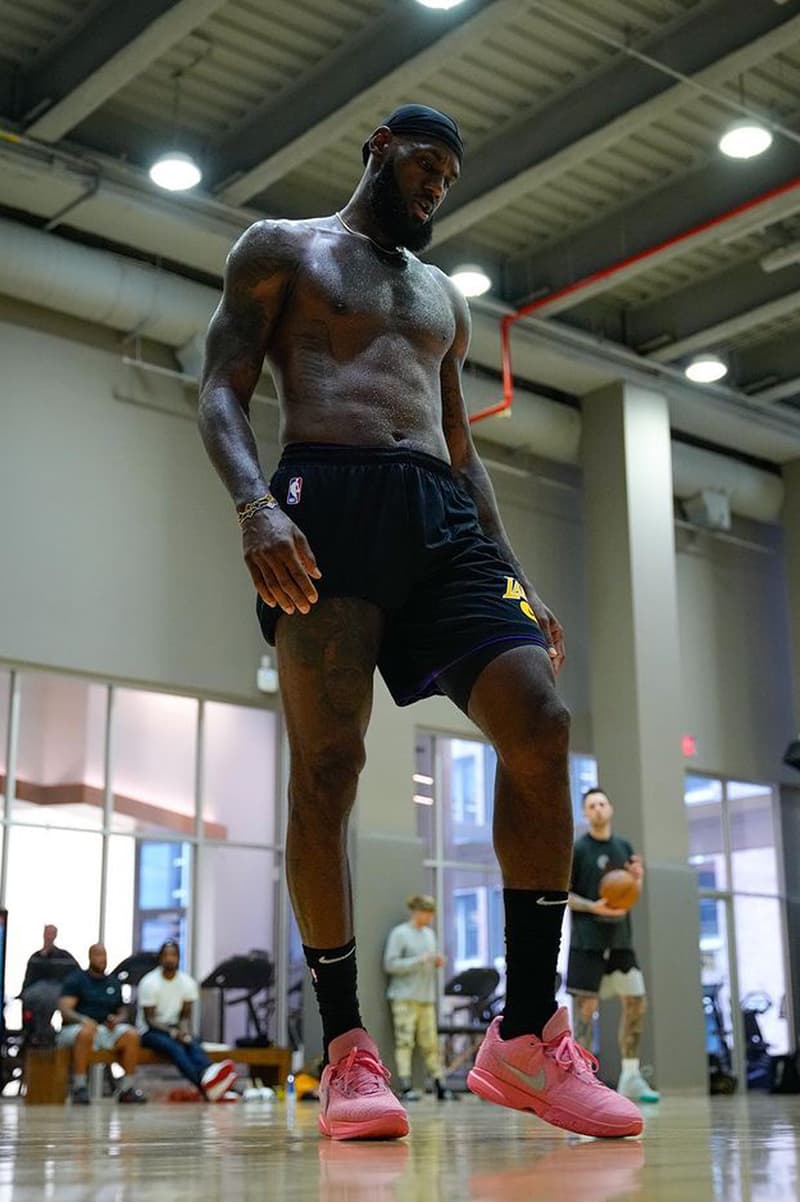 Nike LeBron 20 First Look Images release date info store list buying guide photos price