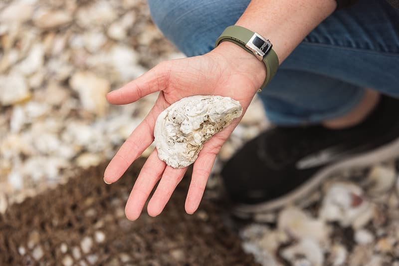 New Limited Edition Supports Project To Return One Billion Oysters To New York Harbor