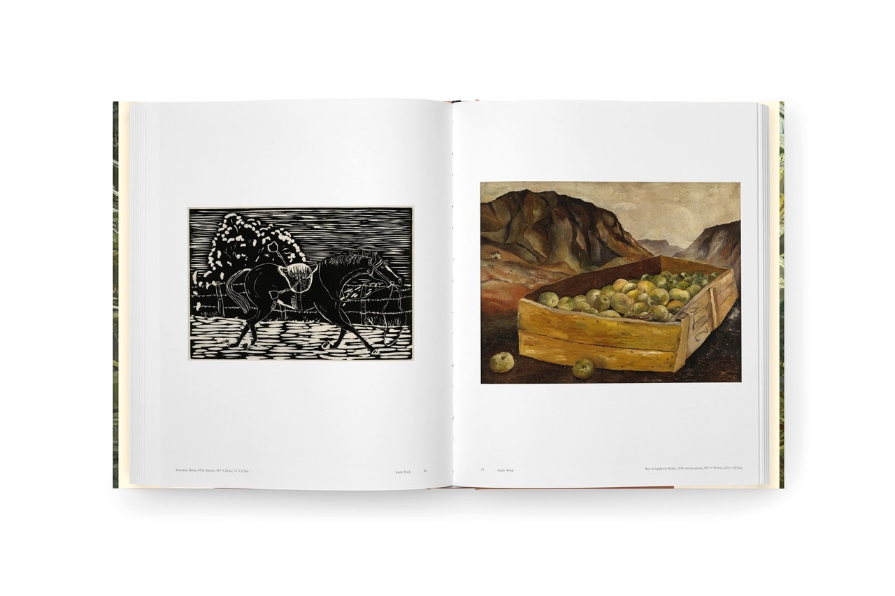 Phaidon 'Lucian Freud' Art Book Monograph Painter