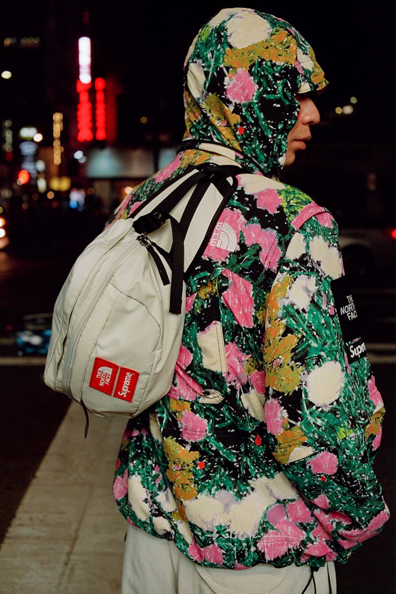 Supreme x The North Face Spring Collab |
