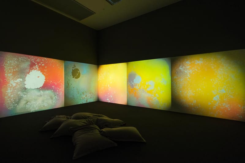 Tate Liverpool Presents "Radical Landscapes"