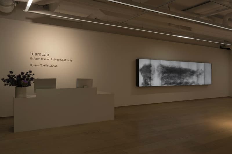 teamLab 'Existence in an Infinite Continuity' Pace
