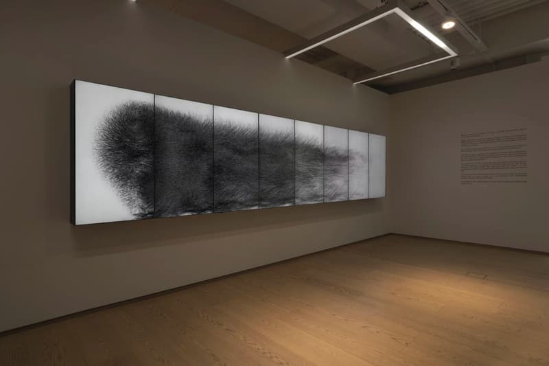 teamLab 'Existence in an Infinite Continuity' Pace