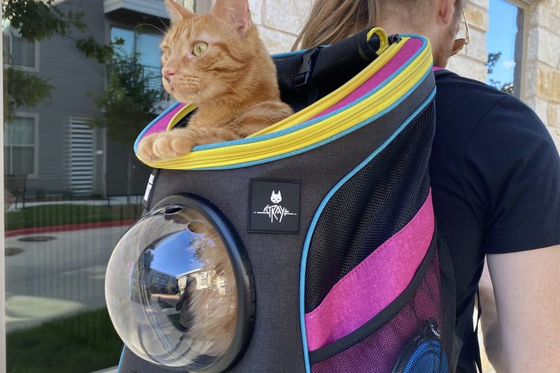 cat harness with backpack