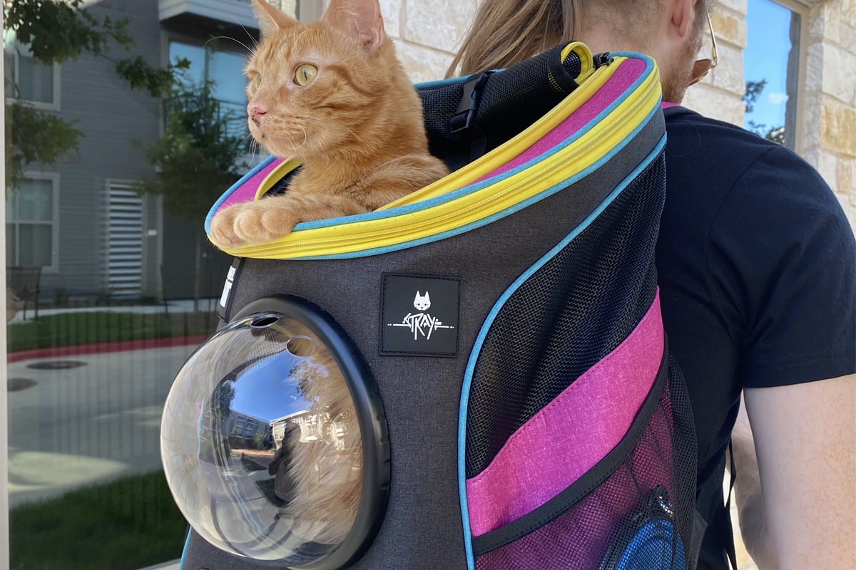 annapurna interactive stray video game travel cat accessories harness backpack bag carrier special limited edition 