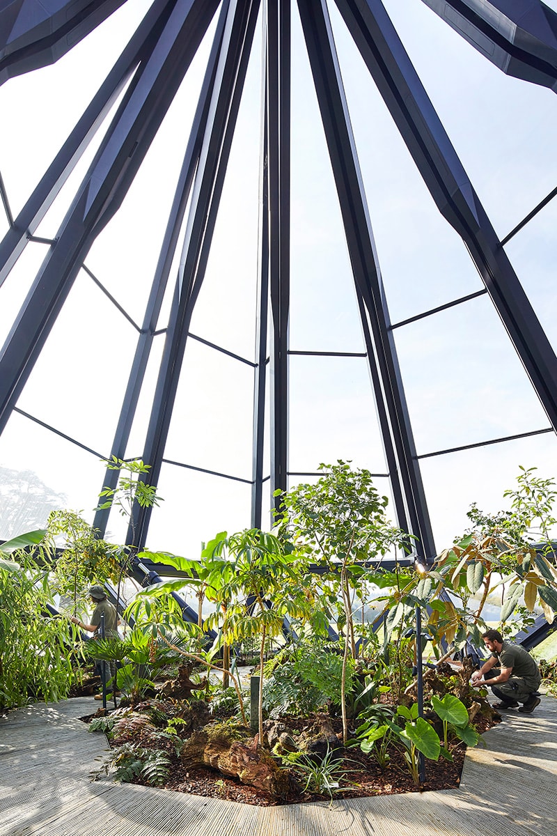 Heatherwick Studio Creates Giant Terrarium for Rare Plant Species 