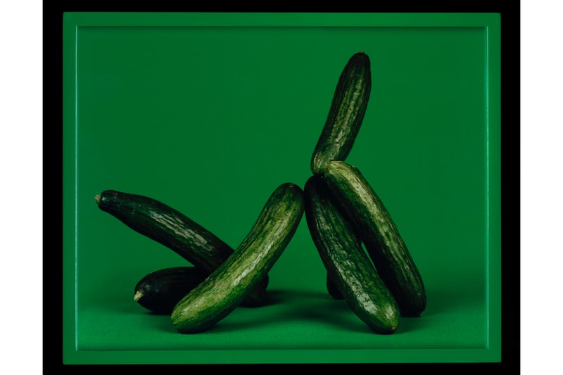 LACMA 'Objects of Desire' Photography Art Exhibition