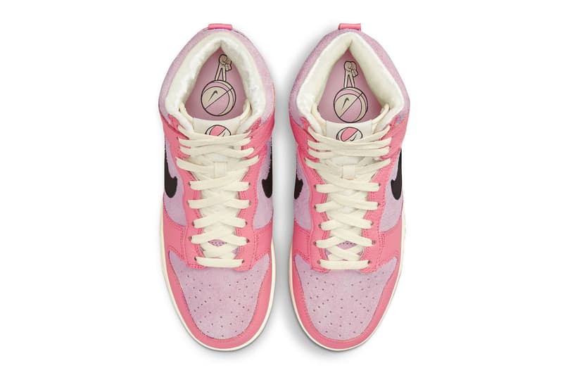 Nike Dunk High Hoops pink DX3359-600 Release Info