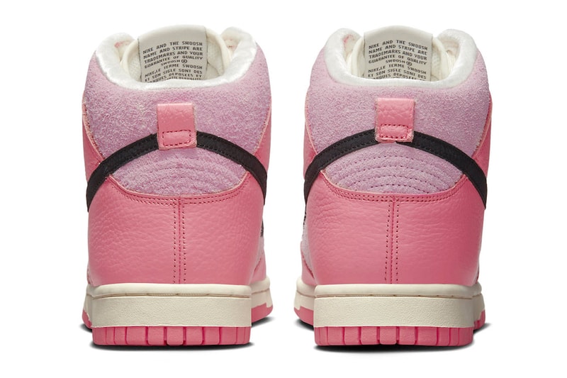 Nike Dunk High Hoops pink DX3359-600 Release Info