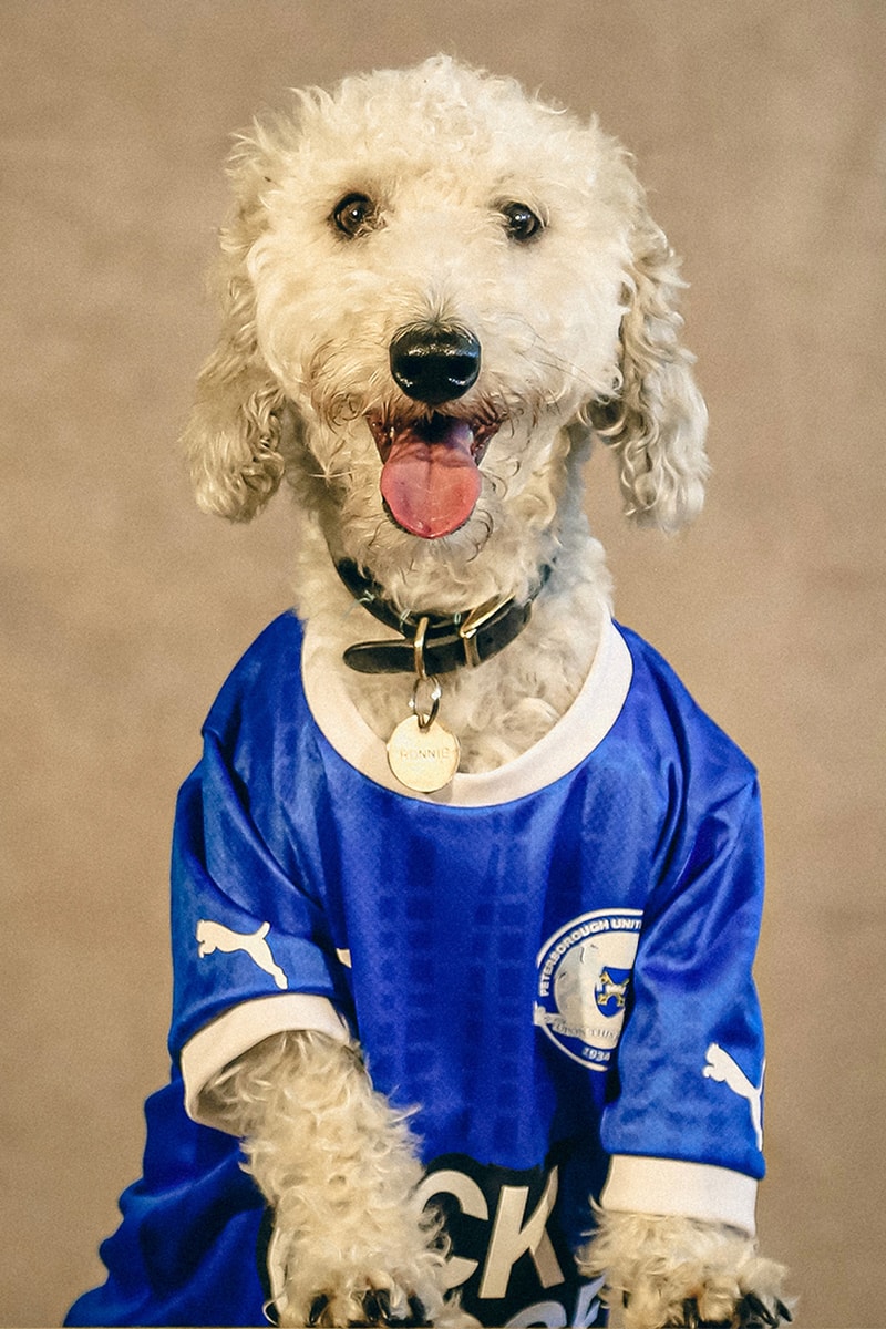 PUMA And Peterborough United Unveil New 2022/23 Home Kit For Sky Bet League One Football Campaign