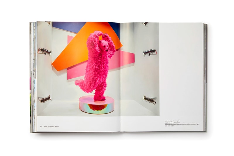 'Paola Pivi' Phaidon Art Book Publication Sculpture