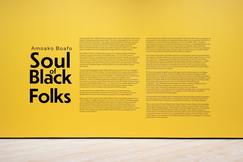 Amoako Boafo: Soul of Black Folks CAMH Art Exhibition