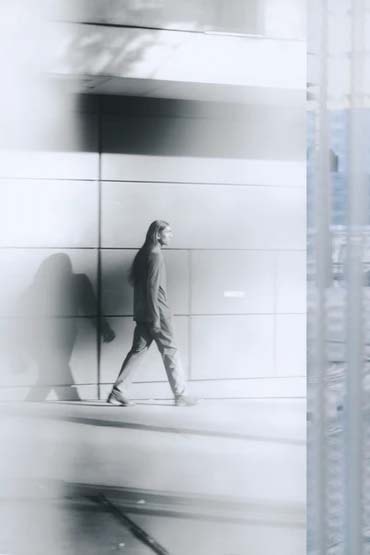 veilance fw22
