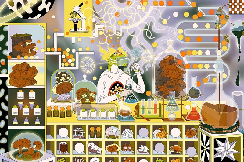 Herbar Is Nurturing Nature’s Mighty Mushroom