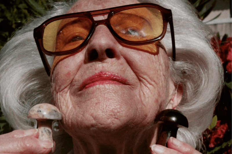 Herbar Face Oil Clean Beauty TikTok Trend Sustainability Emerging Skincare Brand UK British Chinese Eastern Medicines Microdosing Mushrooms