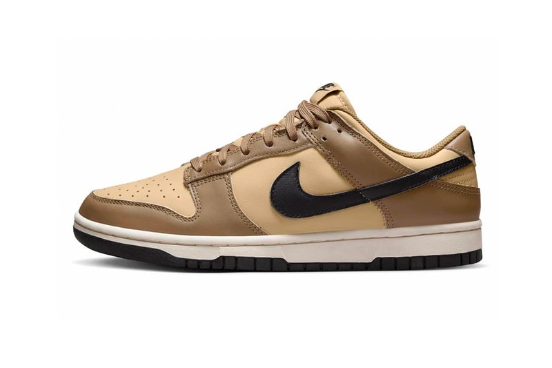 Nike Dunk Low "Dark Driftwood" Sneaker Teaser Swoosh