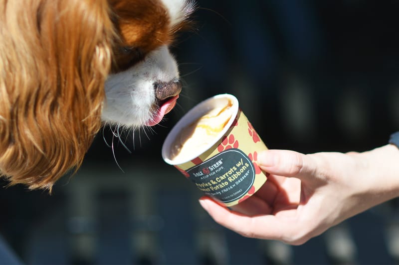 pup cups ice cream