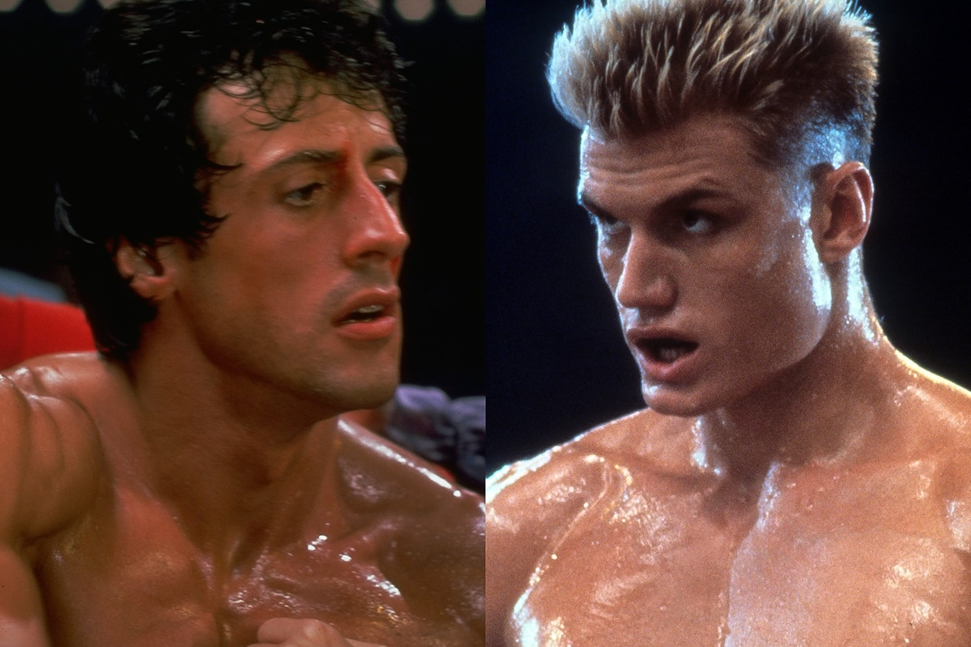Sylvester Stallone Slams Producers Over Drago Spinoff dolph lundgren rocky creed irwin winkler mgm fans drama news info
