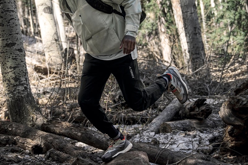 adidas TERREX Free Hiker 2 Announcement Release Date info store list buying guide photos price