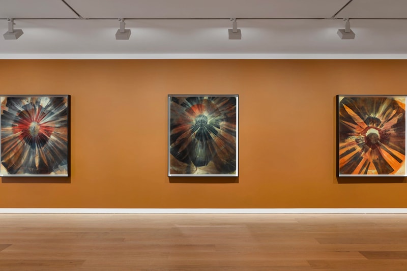 David Zwirner Andra Ursuţa 'Joy Revision' Exhibition