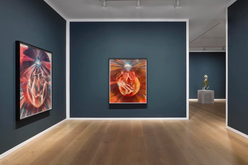 David Zwirner Andra Ursuţa 'Joy Revision' Exhibition