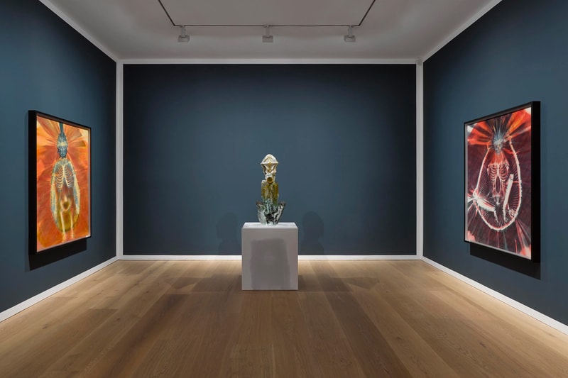 David Zwirner Andra Ursuţa 'Joy Revision' Exhibition
