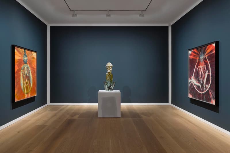 David Zwirner Andra Ursuţa 'Joy Revision' Exhibition