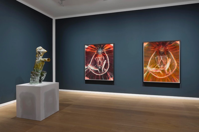 David Zwirner Andra Ursuţa 'Joy Revision' Exhibition