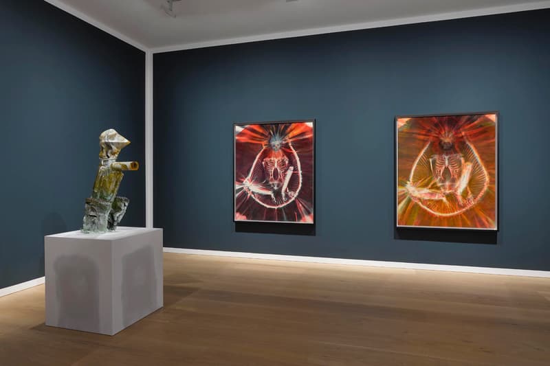 David Zwirner Andra Ursuţa 'Joy Revision' Exhibition
