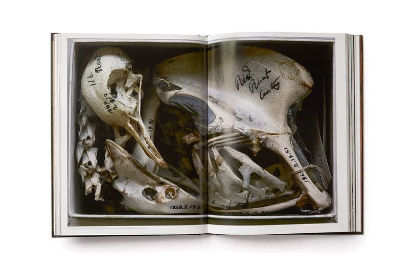 Phaidon 'Annie Leibovitz, Portraits 2005-2016' Book