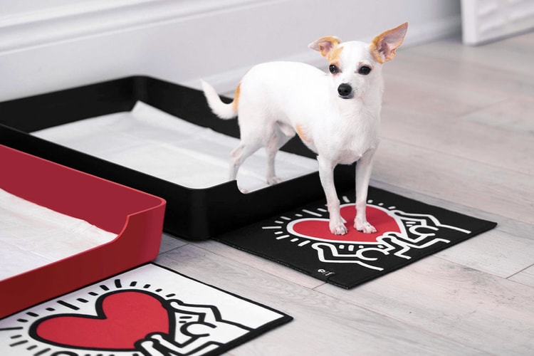 Doggy Bathroom's Elevated Litter Box Pays Homage to the Great Keith Haring