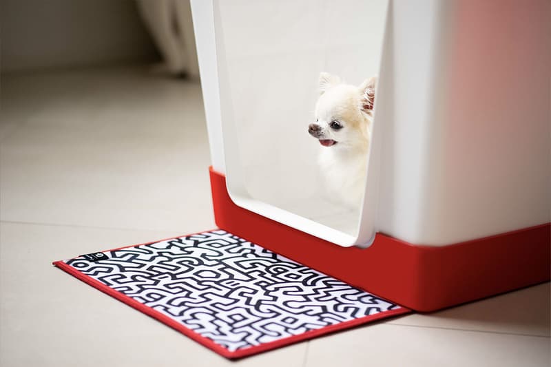 Doggy Bathroom's Elevated Litter Box Pays Homage to the Great Keith Haring