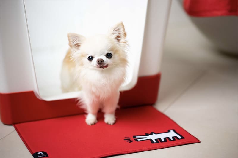 Doggy Bathroom's Elevated Litter Box Pays Homage to the Great Keith Haring