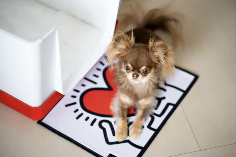 Doggy Bathroom's Elevated Litter Box Pays Homage to the Great Keith Haring