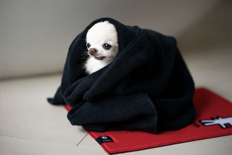 Doggy Bathroom's Elevated Litter Box Pays Homage to the Great Keith Haring