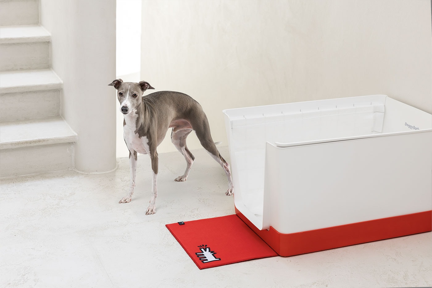 Doggy Bathroom's Elevated Litter Box Pays Homage to the Great Keith Haring