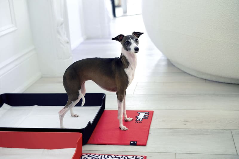 Doggy Bathroom's Elevated Litter Box Pays Homage to the Great Keith Haring