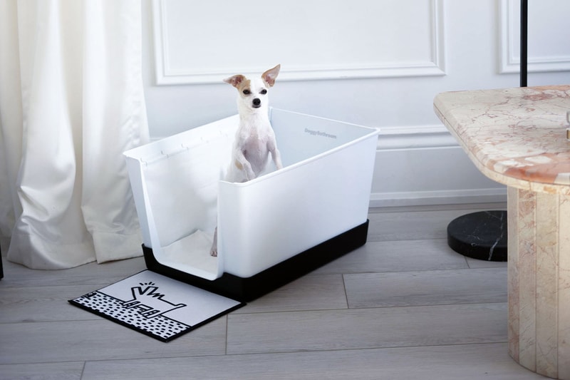 Doggy Bathroom's Elevated Litter Box Pays Homage to the Great Keith Haring
