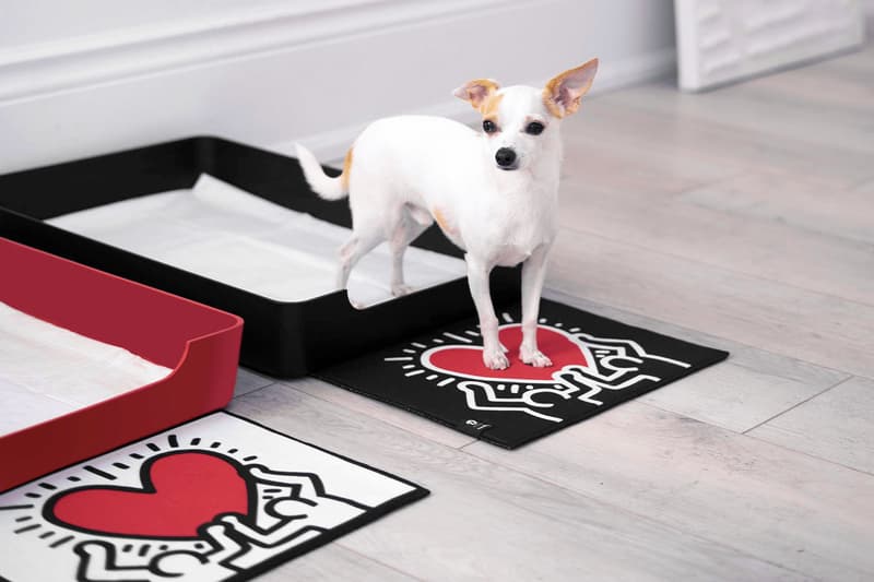 Doggy Bathroom's Elevated Litter Box Pays Homage to the Great Keith Haring