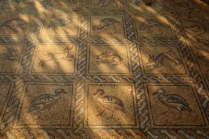 Gaza Farmer Unearths Byzantine Mosaic Art Palestine