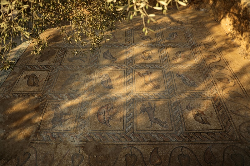 Gaza Farmer Unearths Byzantine Mosaic Art Palestine