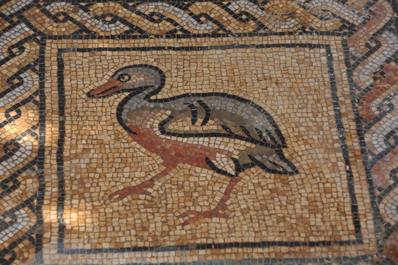 Gaza Farmer Unearths Byzantine Mosaic Art Palestine